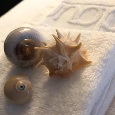 Hotel Furadouro Boutique Beach&spa 4*