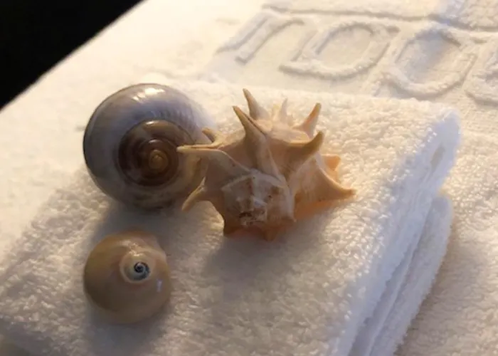 فندق Furadouro Boutique & 4*